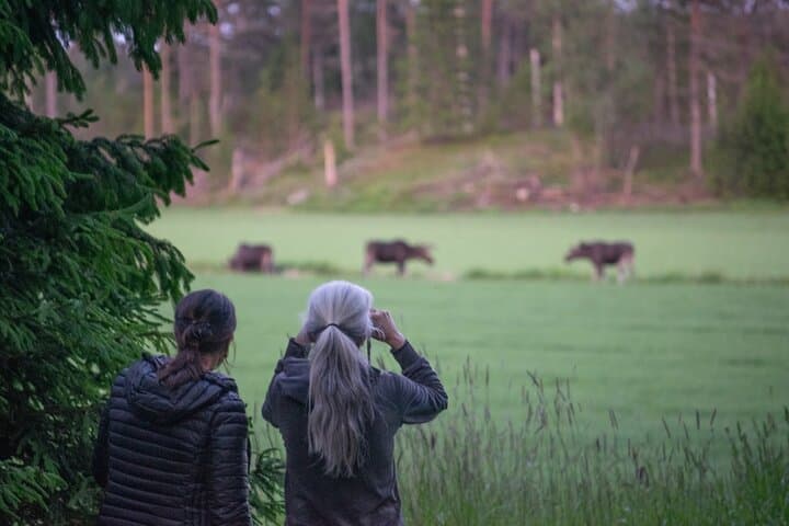 Helsinki Moose Safari & Campfire Dinner on Porkkala Peninsula photo 2
