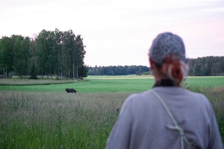 Helsinki Moose Safari & Campfire Dinner on Porkkala Peninsula photo 5