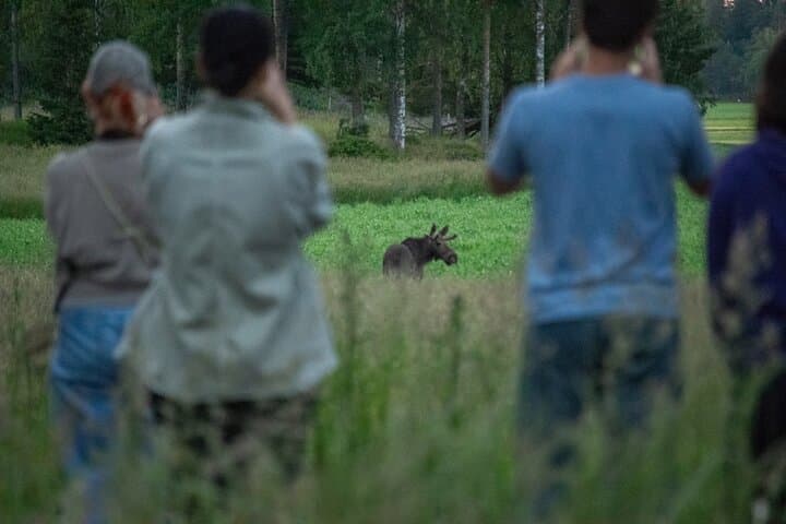 Helsinki Moose Safari & Campfire Dinner on Porkkala Peninsula photo 3