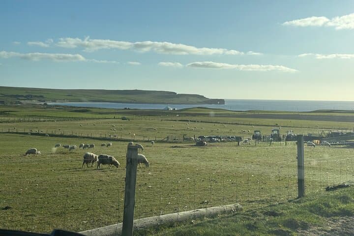 Orkney Islands Day Tour: Stone Circles, Cliffs & WWII Scapa Flow photo 2