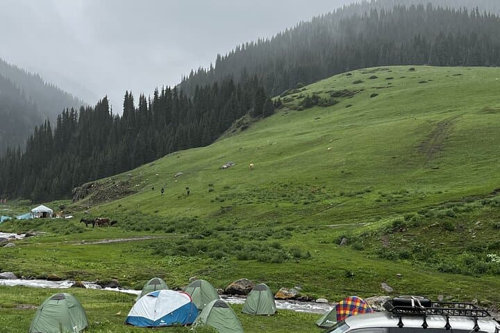 Turgen Waterfall and Assy Plateau: Day Trip from Almaty photo 5