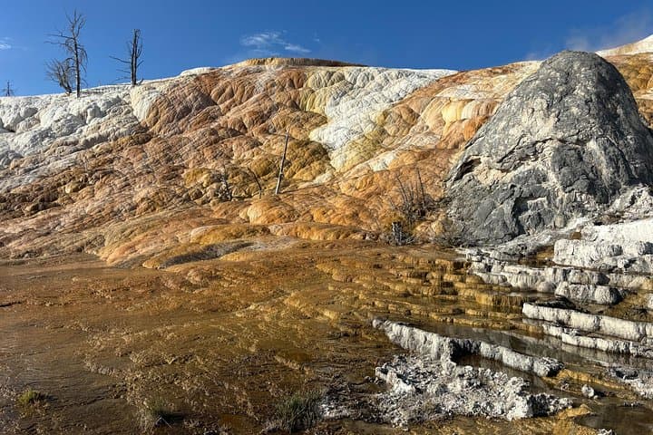 Full-Day Private Yellowstone Tour from Big Sky: Geysers, Wildlife & Waterfalls photo 2