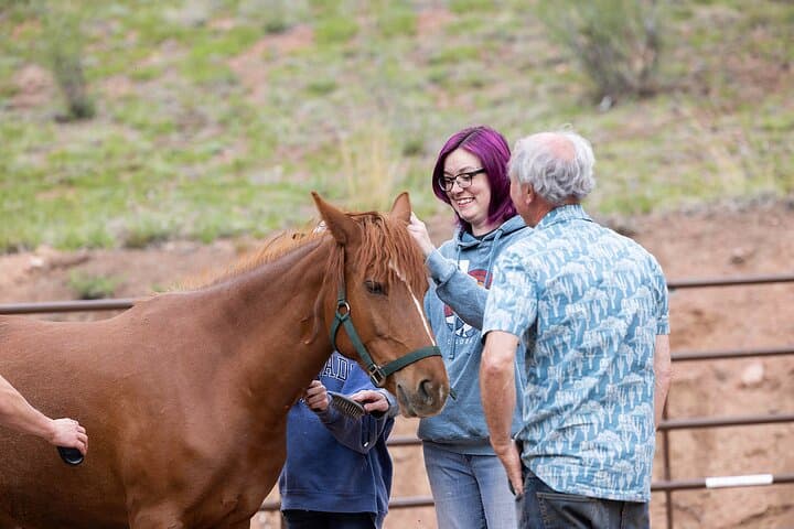 Wild Mustang Experience Near Colorado Springs: Guided Non-Riding Mountain Sessions photo 2