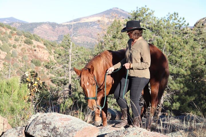 Wild Mustang Experience Near Colorado Springs: Guided Non-Riding Mountain Sessions photo 6