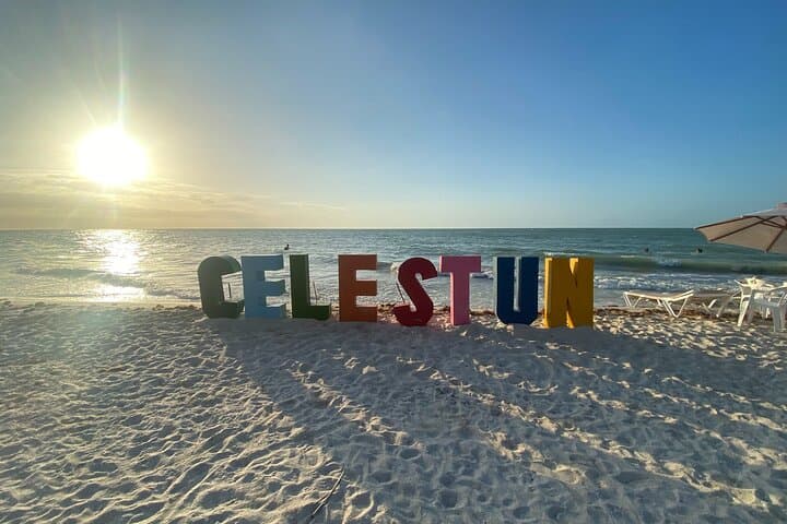 Celestún and Sisal Day Trip from Mérida — Flamingos, Mangroves & Gulf Beaches photo 3
