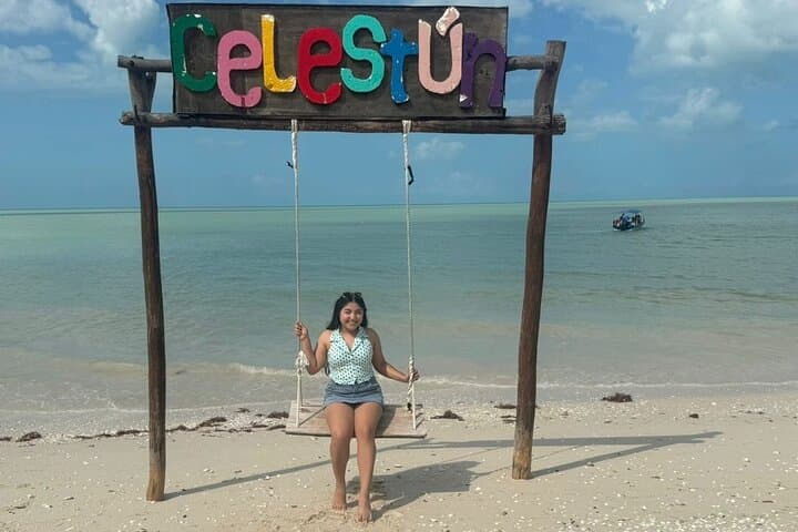 Celestún and Sisal Day Trip from Mérida — Flamingos, Mangroves & Gulf Beaches photo 4