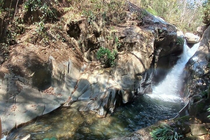Cacao and Secret Waterfall Tour in Minca: Jungle Hike, Indigenous Trail & Private Waterfall photo 2