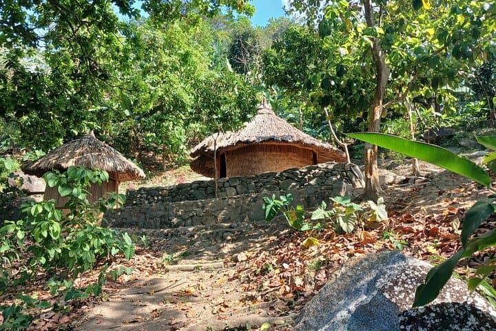 Cacao and Secret Waterfall Tour in Minca: Jungle Hike, Indigenous Trail & Private Waterfall photo 4