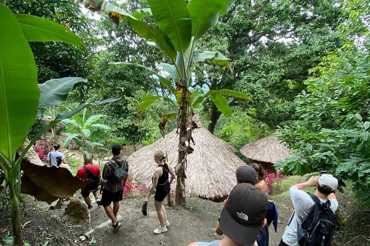 Cacao and Secret Waterfall Tour in Minca: Jungle Hike, Indigenous Trail & Private Waterfall photo 3