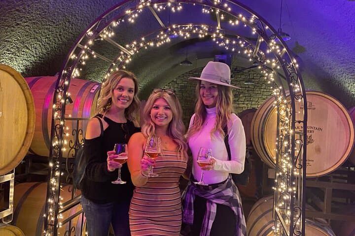 Private Temecula Wine Tour from Pacific Beach — Full-Day Temecula Valley Tastings