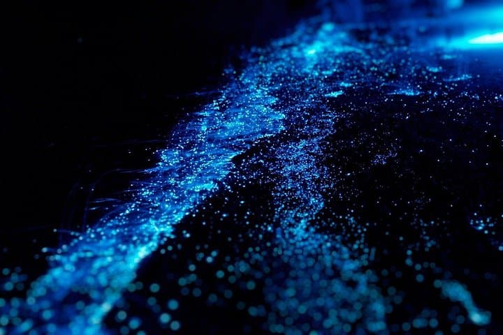 Cayman Bioluminescent Bay Night Tour — Swim with Glowing Plankton at Starfish Point photo 4