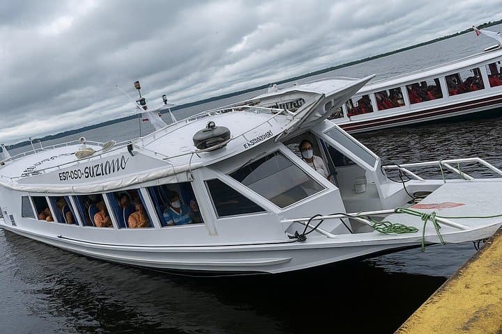 Meeting of the Waters & Pink Dolphin Tour — Manaus Amazon River Adventure photo 4