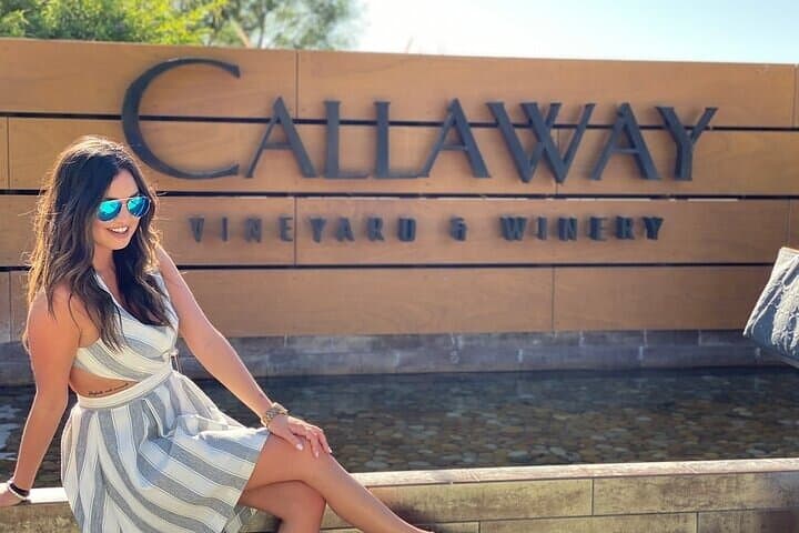 Private Temecula Wine Tour from Laguna Beach — Full-Day Temecula Valley Tasting Experience photo 4