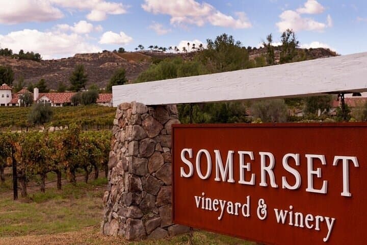 Private Temecula Wine Tour from Dana Point: Full-Day Tastings & Cave Experience photo 4