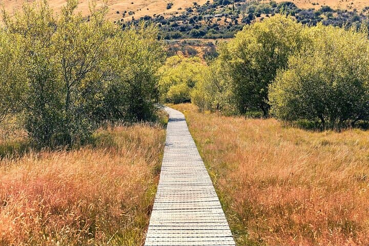 Private Guided Glenorchy Tour from Queenstown — Bennett's Bluff, Lagoon Walk & Paradise photo 4