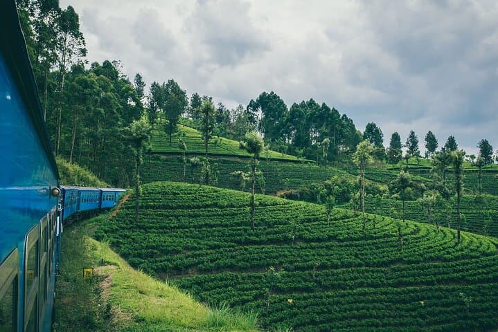 Kandy to Ella Scenic Train — Second/Third Class Hill Country Journey photo 3