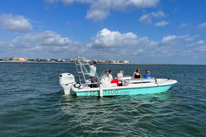 St. Augustine Dolphin and Nature Boat Excursion: 90-Min Eco Boat Tour photo 3