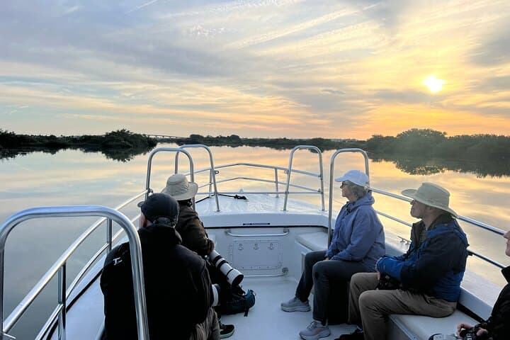 St. Augustine Dolphin and Nature Boat Excursion: 90-Min Eco Boat Tour photo 4