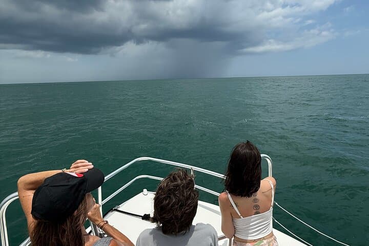 St. Augustine Dolphin and Nature Boat Excursion: 90-Min Eco Boat Tour photo 6