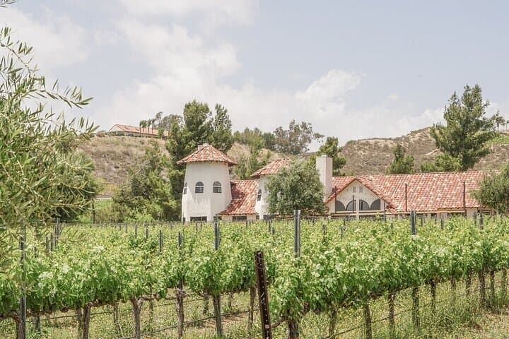 Private Temecula Wine Tour from Fallbrook — Somerset, Oak Mountain & Callaway photo 4