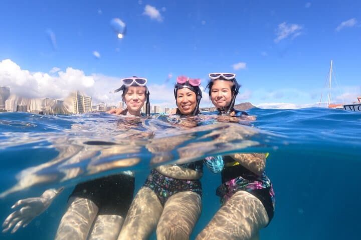 Snorkel Turtle Canyon: Waikiki Green Sea Turtle Adventure photo 3