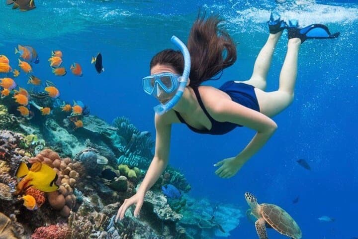 Blue Lagoon Snorkeling at Padangbai, Bali — Practical Guide with Lunch & Transport photo 3