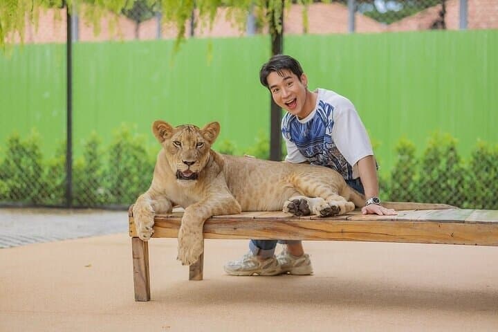 Lion Land Phuket: Skip-the-Line Entry with Private Hotel Transfer photo 3