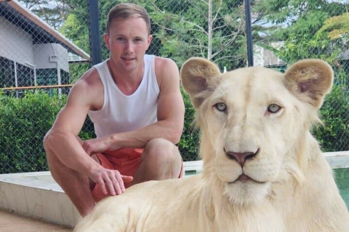Lion Land Phuket: Skip-the-Line Entry with Private Hotel Transfer photo 4