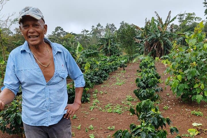 Guanacaste Coffee, Pottery & Folklore Day Tour from Hojancha photo 5