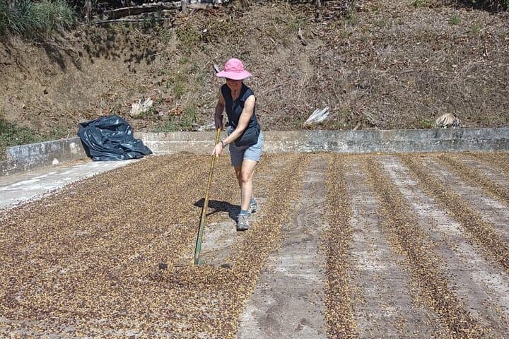 Guanacaste Coffee, Pottery & Folklore Day Tour from Hojancha photo 6