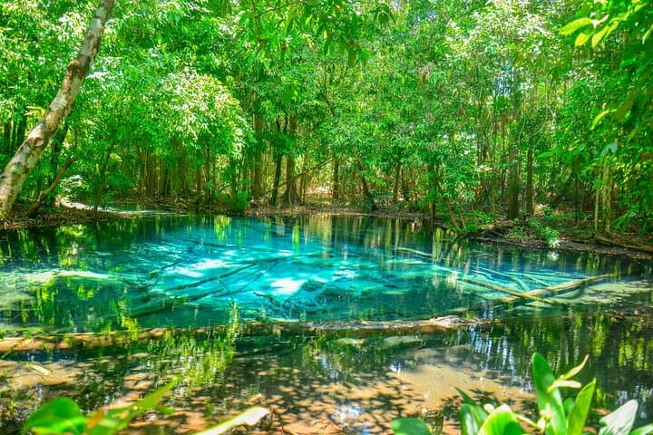 Krabi ATV Jungle Tour: Emerald Pool, Hot Spring Waterfall & Jungle ATV Ride photo 4
