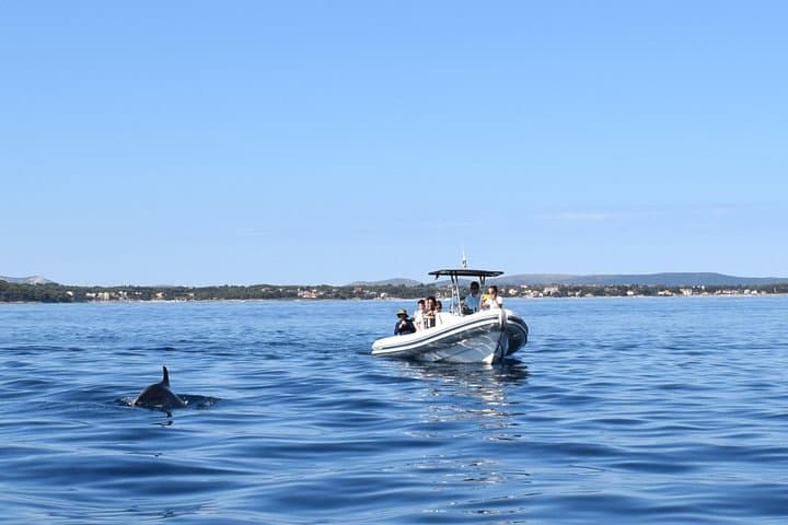 Dugi Otok Snorkeling and Sandy Beaches: 7-Hour Island Escape from Zadar photo 3