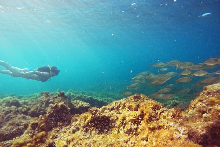 Malta & Gozo Hidden Snorkel Tour — Local Guide, Photos Included