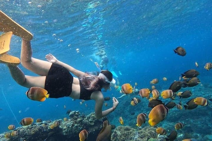 Bali Blue Lagoon Snorkeling & Ubud Swing Day Tour (Private Transfer, Lunch) photo 2