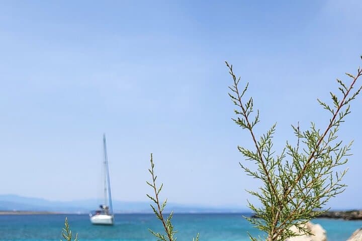Day Sailing in Chania: Private Cretan Coastal Cruises from the Venetian Harbor photo 3