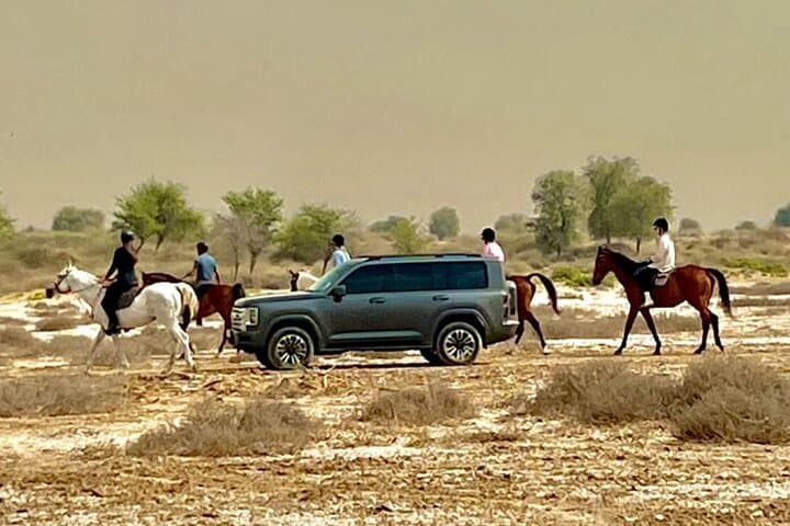 Flexible Dubai Private Driver Tour — Marina, Burj Khalifa & Palm