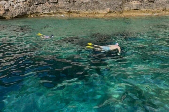 Boat Trip & Guided Snorkeling in Villefranche-sur-Mer from Nice — Marine Life and Shallow Reefs photo 2