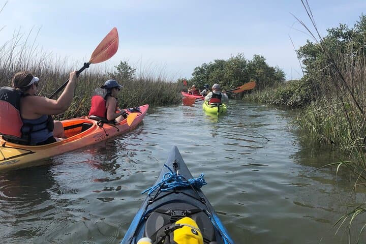 Paddle St. Augustine: Guided Salt Marsh Kayak Tour Under the Bridge of Lions photo 4