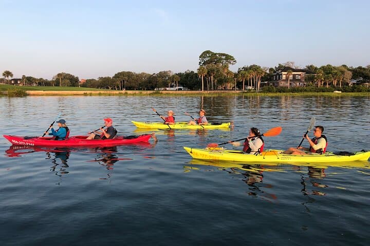 Paddle St. Augustine: Guided Salt Marsh Kayak Tour Under the Bridge of Lions photo 6