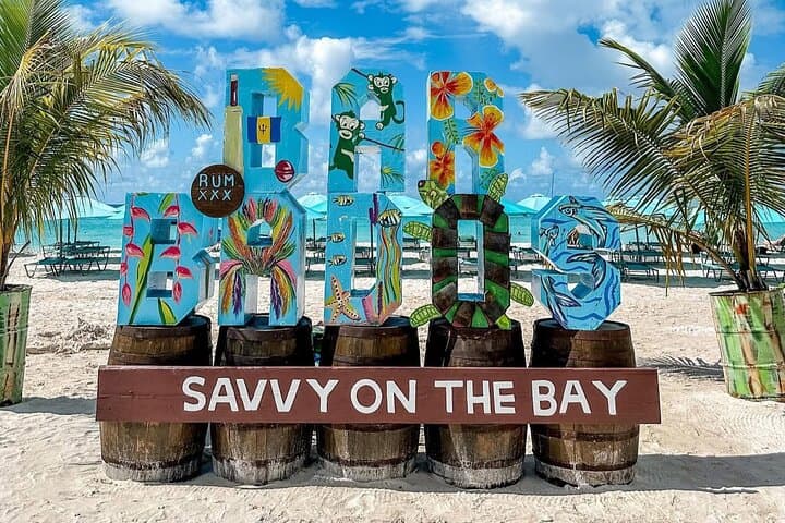 Carlisle Bay Beach Day: Cruise Shuttle, Shipwreck Snorkel & Shade