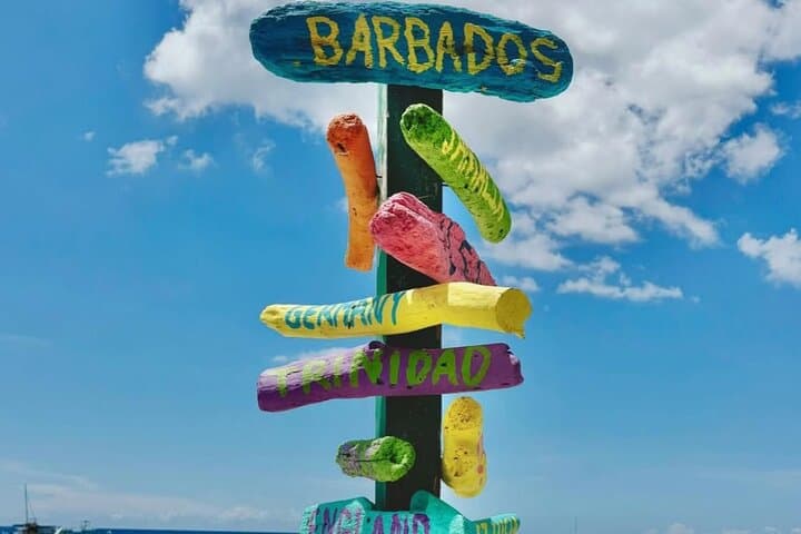 Carlisle Bay Beach Day: Cruise Shuttle, Shipwreck Snorkel & Shade photo 6