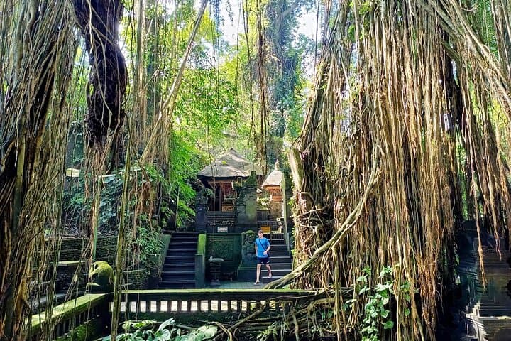 Ubud Monkey Forest Guided Walking Tour: Sacred Monkeys, Temples & Cultural Insights photo 3