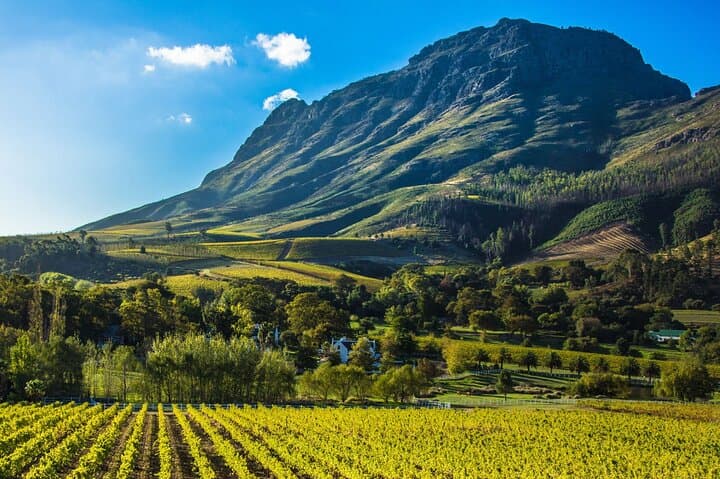 Luxury Garden Route Tour: 15-Day Wine, Marine & Big-5 Safari from Cape Town photo 5