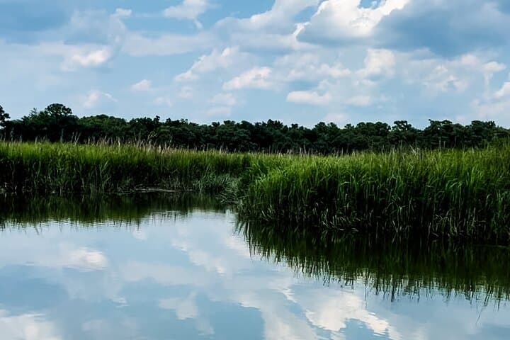Savannah Private Electric Boat Charter: Luxury Captained Salt Marsh Cruise photo 2
