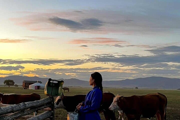 4-Day Nomadic Life Experience in Northern Mongolia: Ger Homestay, Horseback Riding & Steppe Journeys