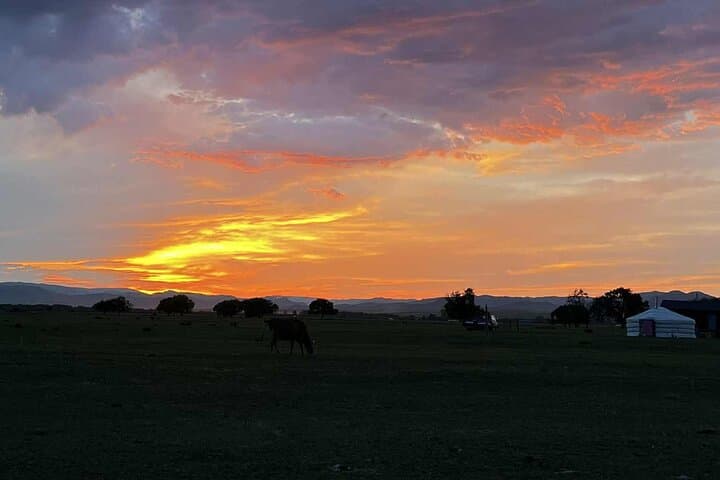 4-Day Nomadic Life Experience in Northern Mongolia: Ger Homestay, Horseback Riding & Steppe Journeys photo 5