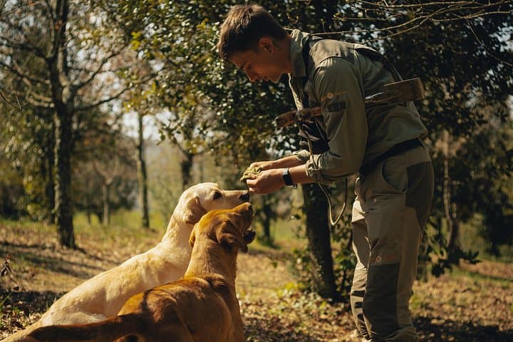 Motovun Truffle Hunt: Family-Led Foraging Tour in Istria photo 4