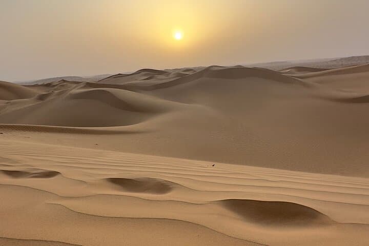 Sunset Desert Safari & Tented-Camp Dinner near Salalah: Wadi Dawkah to the Empty Quarter photo 4