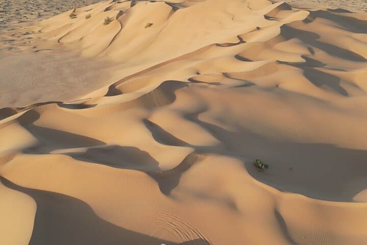 Sunset Desert Safari & Tented-Camp Dinner near Salalah: Wadi Dawkah to the Empty Quarter photo 5