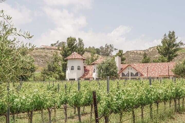 Temecula Wine Country Private Day Tour from Irvine — Wineries, Caves & Old Town photo 3